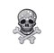 Silver Shimmery Skull, Crossbones, Embroidered, Iron on Patch